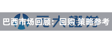 巴西市场回顾：回购 策略参考