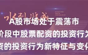 A股市场处于震荡市环境的阶段中股票配资的投资行为新特征与变化